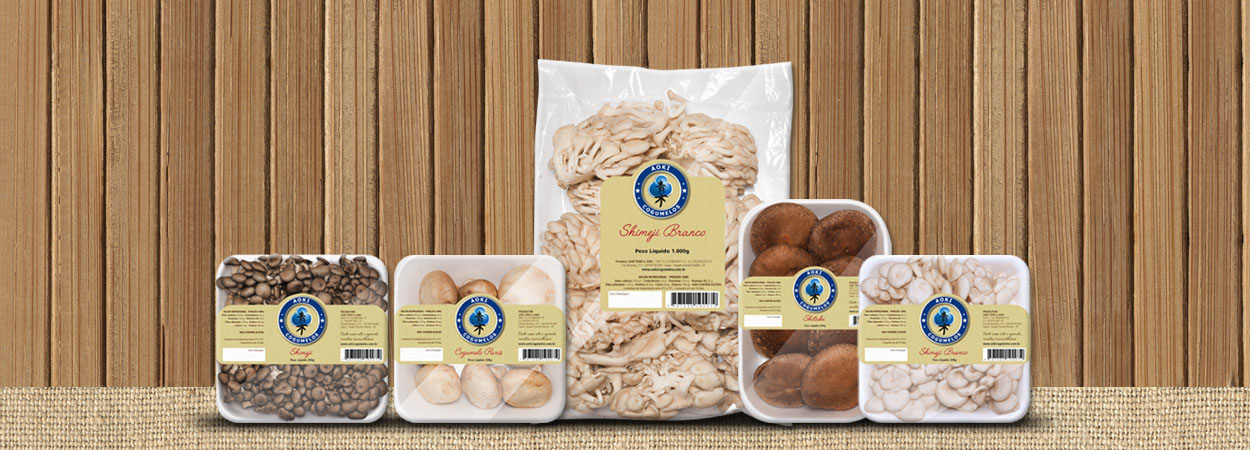 Cultivo - produção - vendas - aoki cogumelos - shimeji branco - shimeji preto - shitake - cogumelo paris