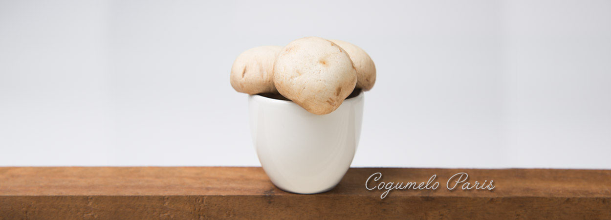 banner-aoki-cogumelos-shitake-shimeji-champignon-mushroom-05