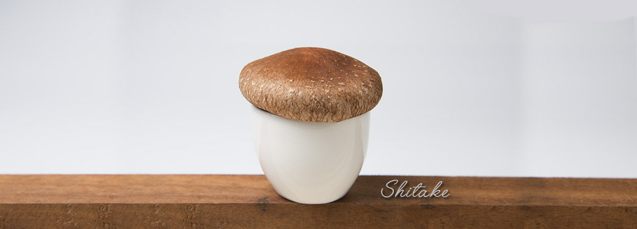 Prato com shitake shimeji e champignon hi-res stock photography
