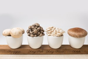 home-aoki-cogumelos-shitake-shimeji-branco-champignon-mushroom-04