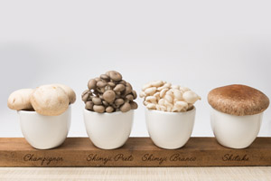 home-aoki-cogumelos-shitake-shimeji-champignon-mushrrom-04