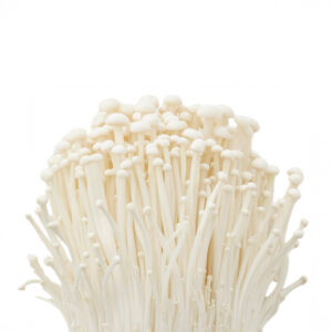 Enoki