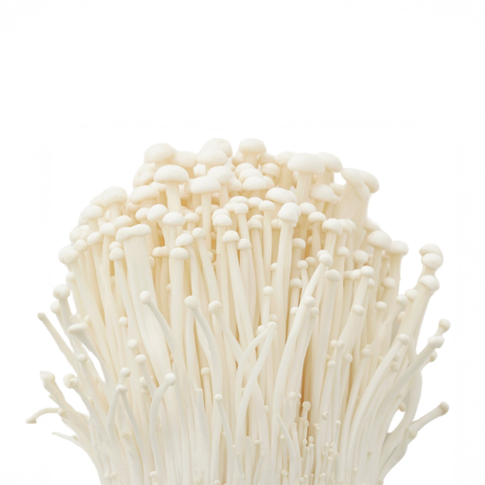 Enoki